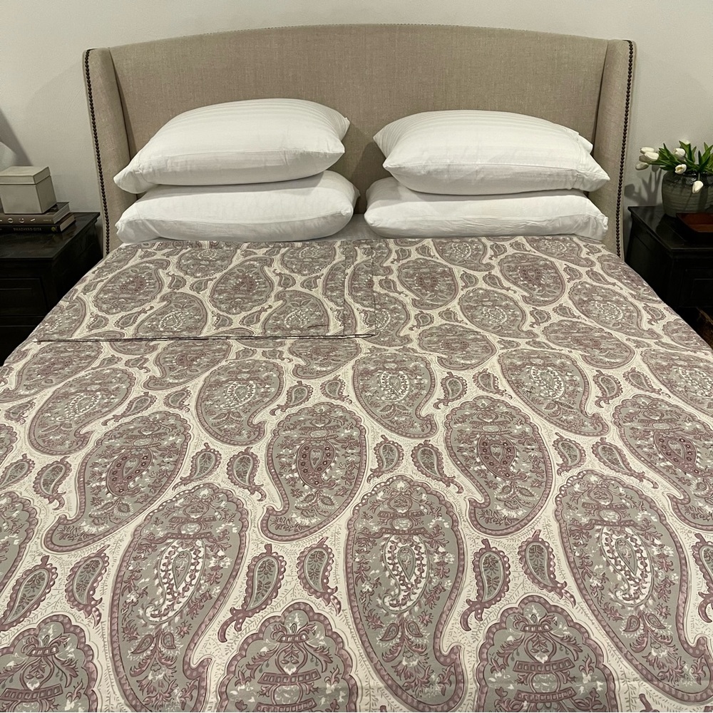 Pottery Barn Ashlynn Paisley Full/Queen Duvet cover with (2) Standard Shams